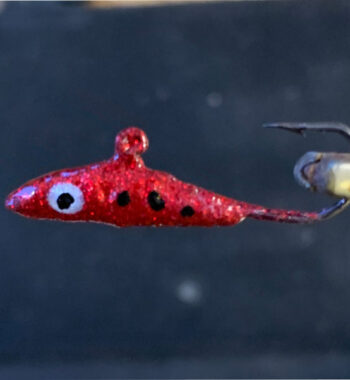 mormyska med ögla balanspirk ädelfisk röding stor abborre